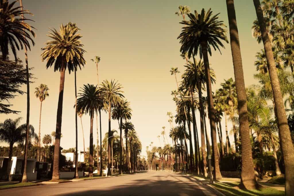 Beverly Hills' iconic palm-lined street under a clear sky, a quintessential backdrop for a luxurious babymoon in California