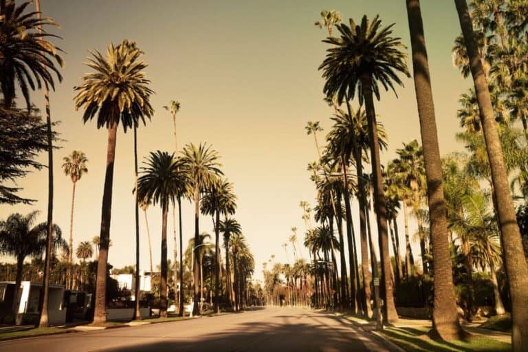 Top 10 Best Babymoon Locations in California