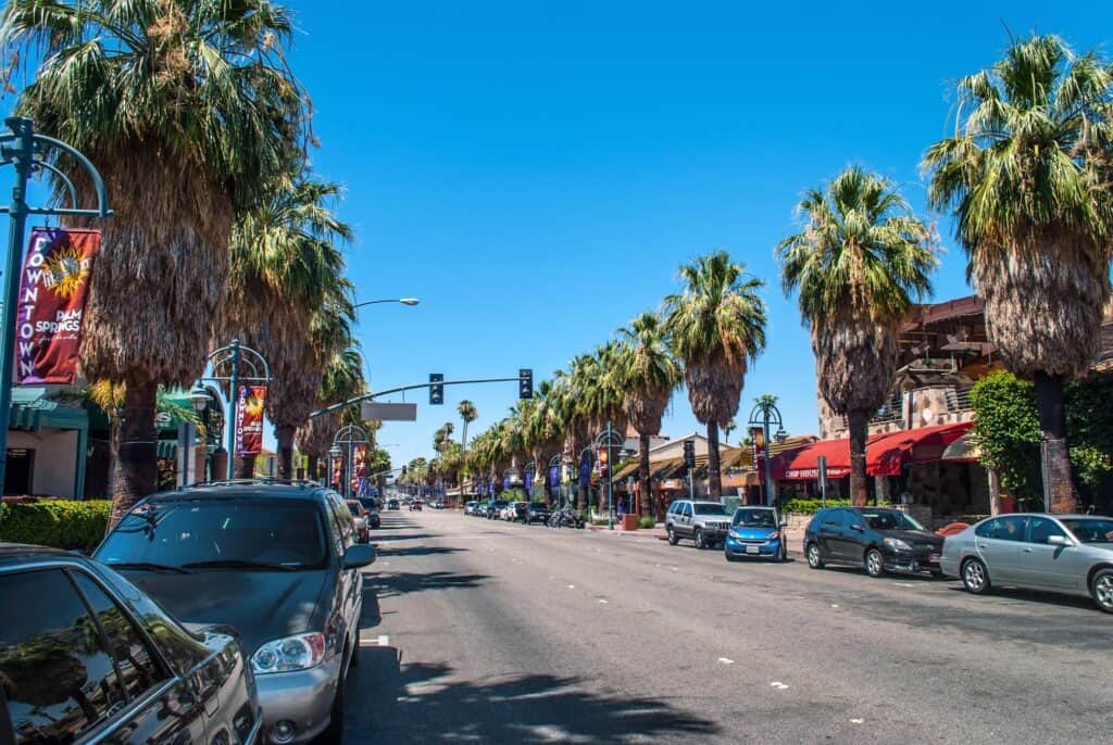 Sunny downtown Palm Springs street lined with towering palm trees and bustling with activity, a scenic stroll for couples on a babymoon