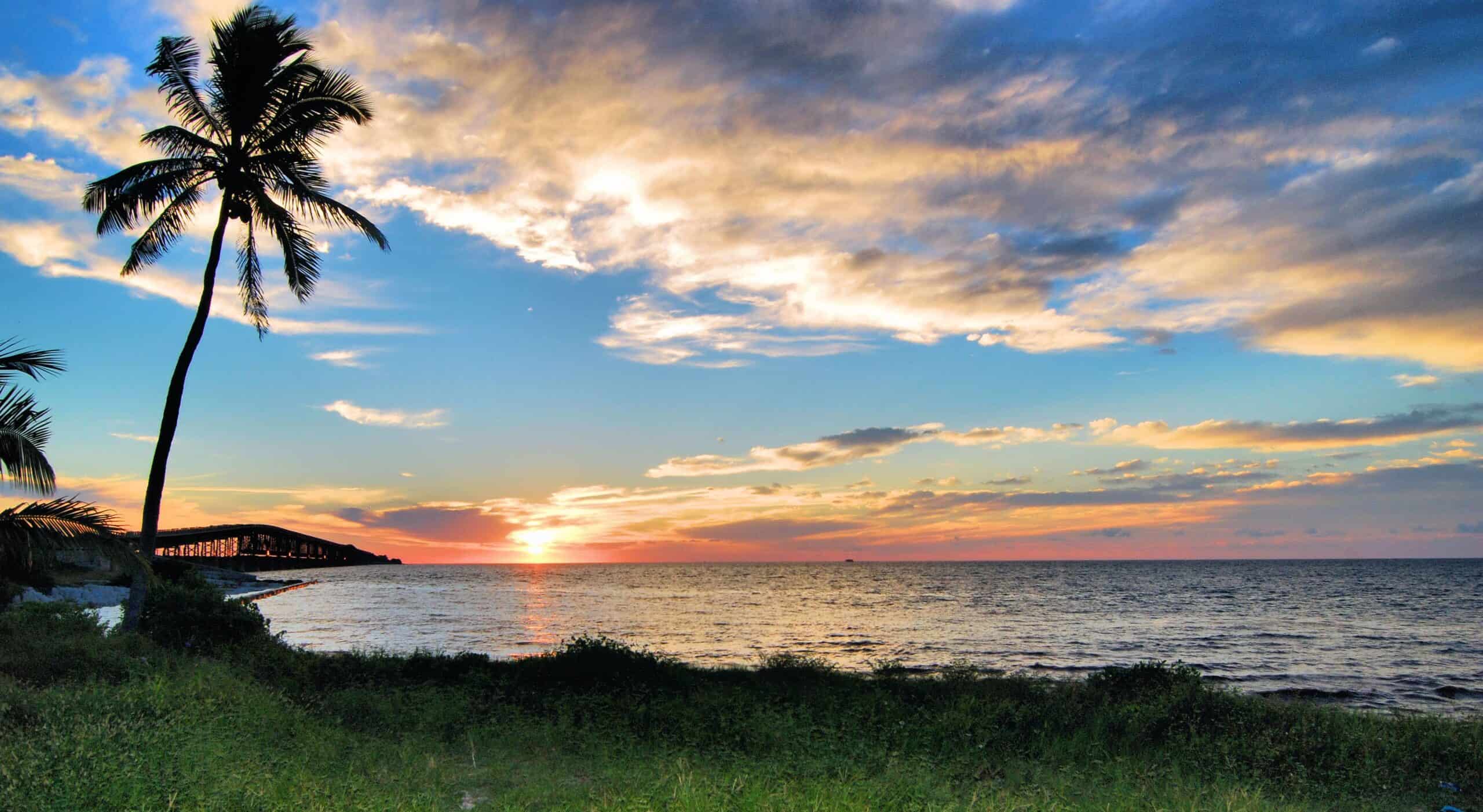 A serene sunset view from the Florida Keys with a silhouetted palm tree and a tranquil ocean, perfect for a relaxing babymoon