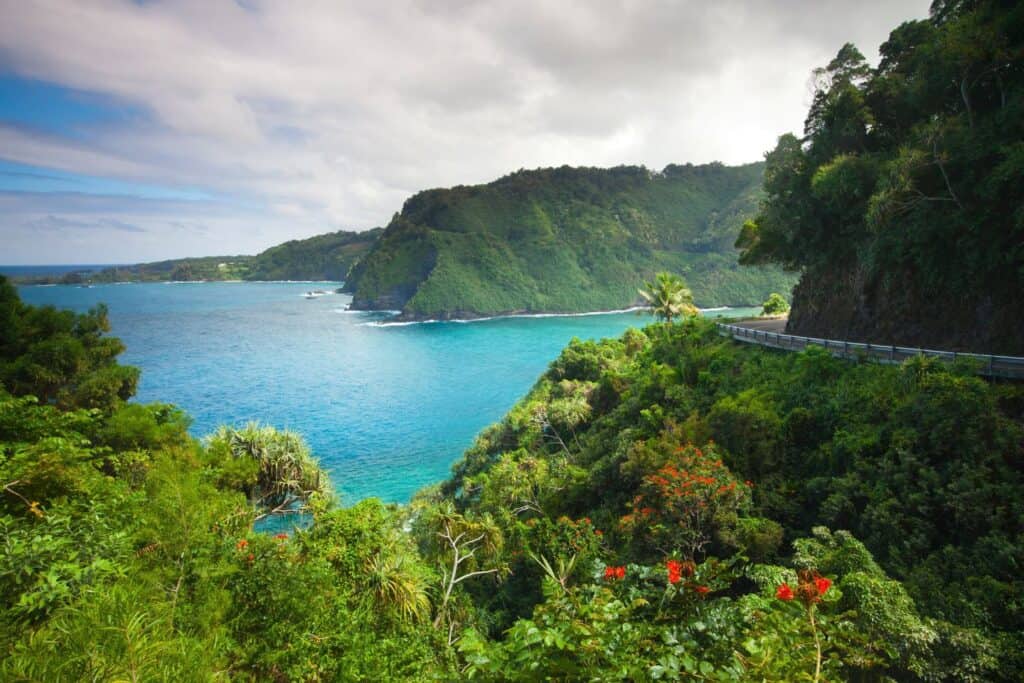 Lush greenery and vibrant flowers overlooking the Hana coastline on Maui, a stunning sight for couples on a Hawaiian babymoon