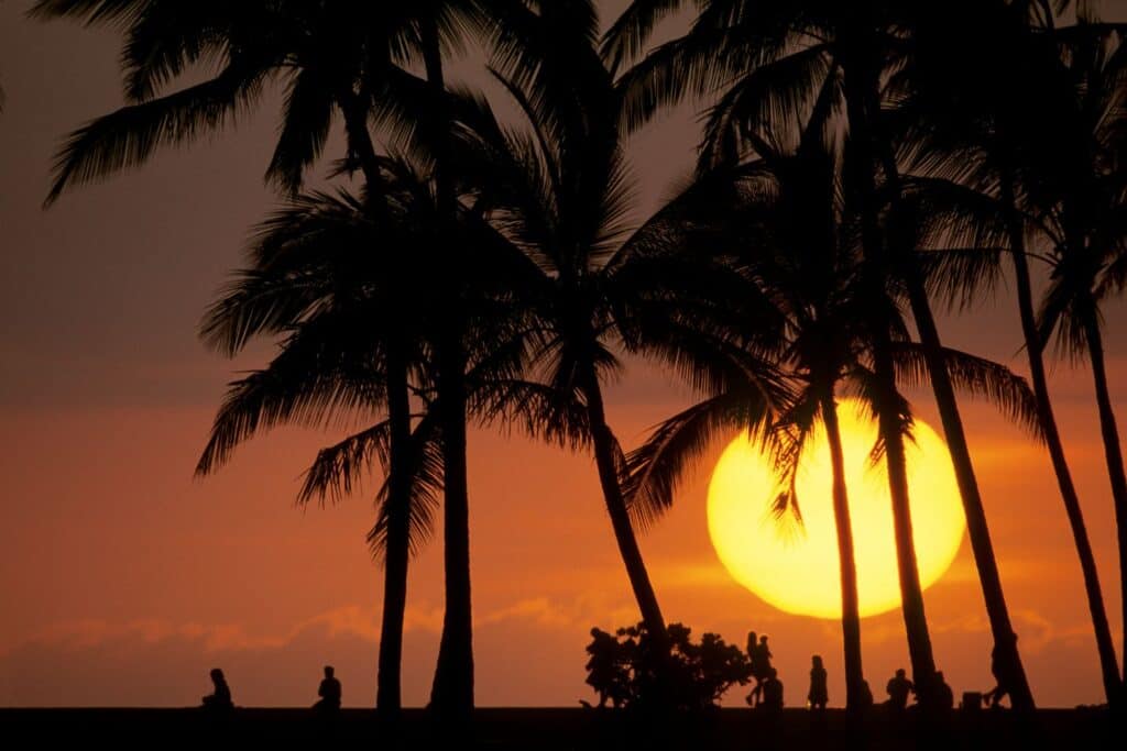 Silhouettes of palm trees against a golden sunset in Honolulu, a tranquil evening scene perfect for babymooners in Hawaii