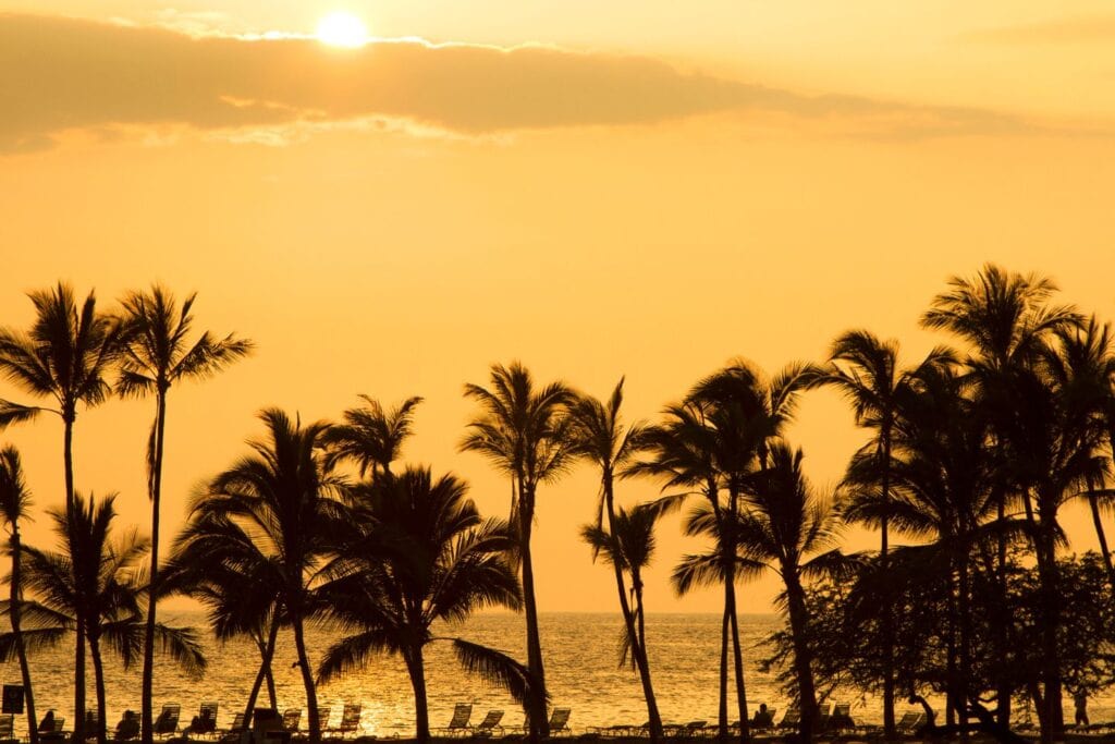 A tranquil sunset view through palm trees at Poipu, Kauai, offering romantic moments for expecting couples on a babymoon in Hawaii