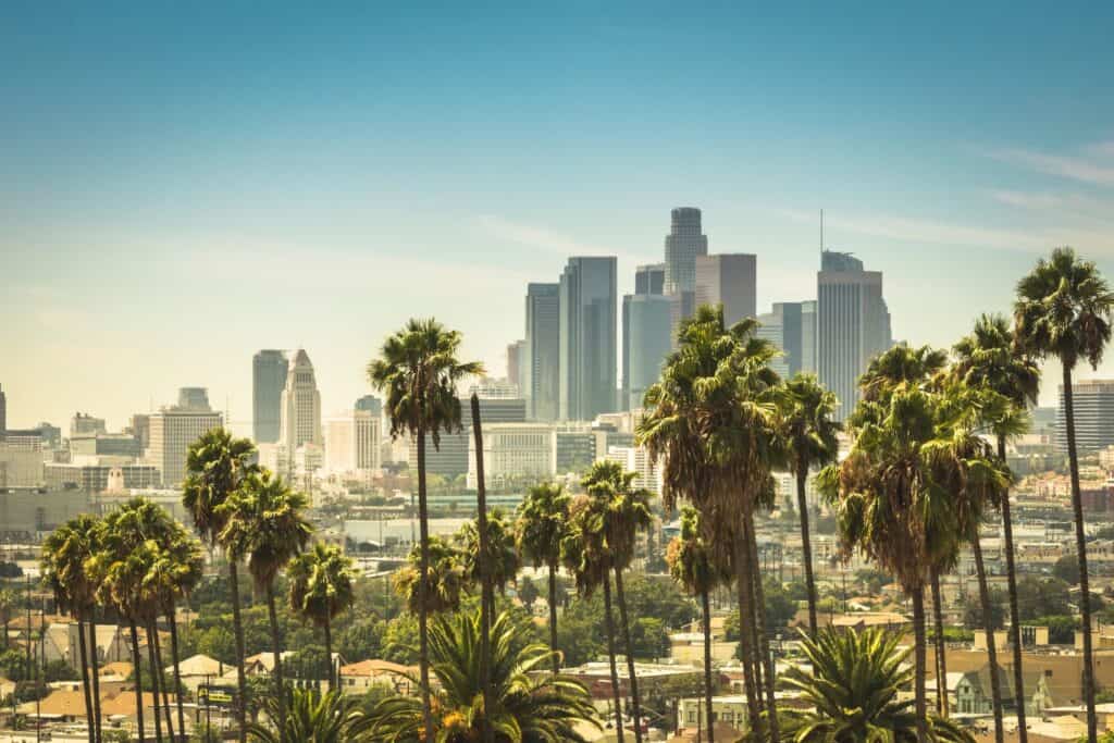 Panoramic view of Los Angeles skyline framed by lush palm trees, a vibrant urban escape for a memorable California babymoon