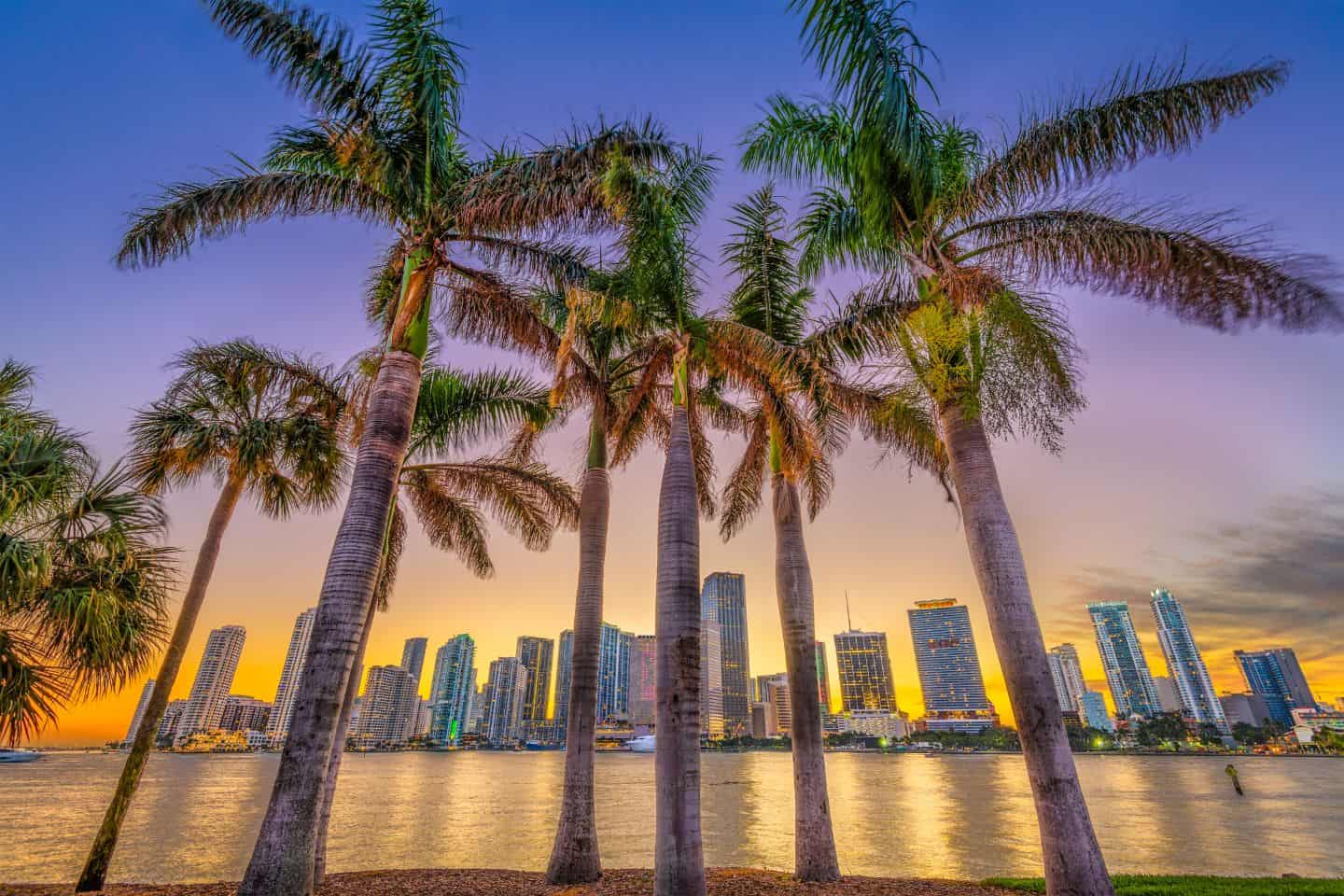Miami's downtown skyline, framed by palm trees at sunset, showcases a stunning urban babymoon destination in the USA for couples looking for both relaxation and city excitement