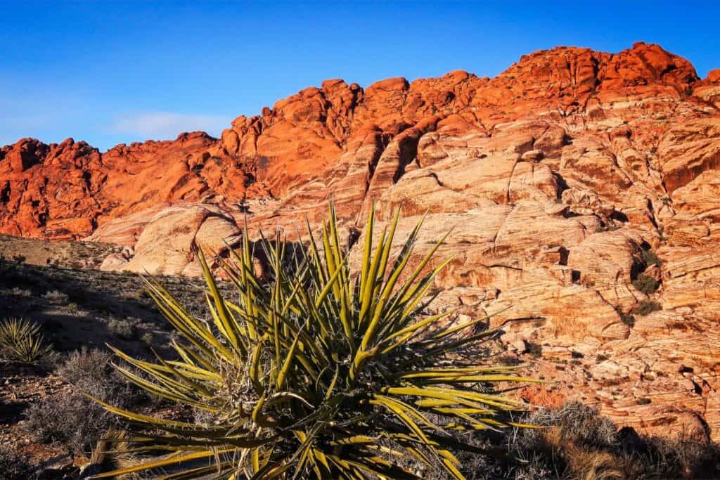 The stunning landscape of Red Rock Canyon, a peaceful retreat from the Strip for nature-loving couples on a babymoon in Las Vegas