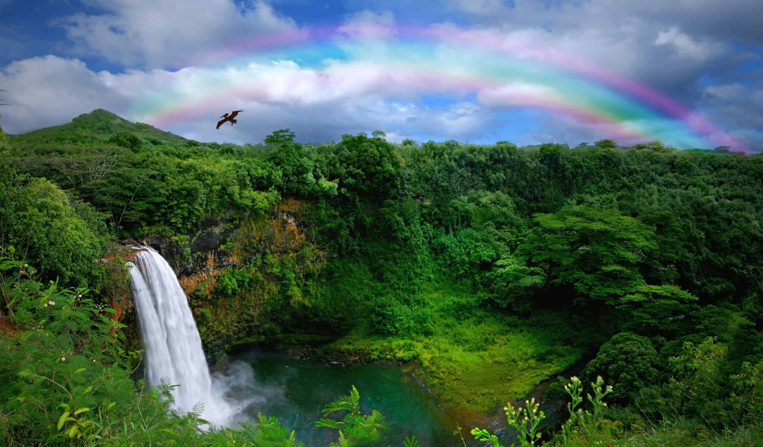 Kaui waterfall with a bird flying above and a double rainbow