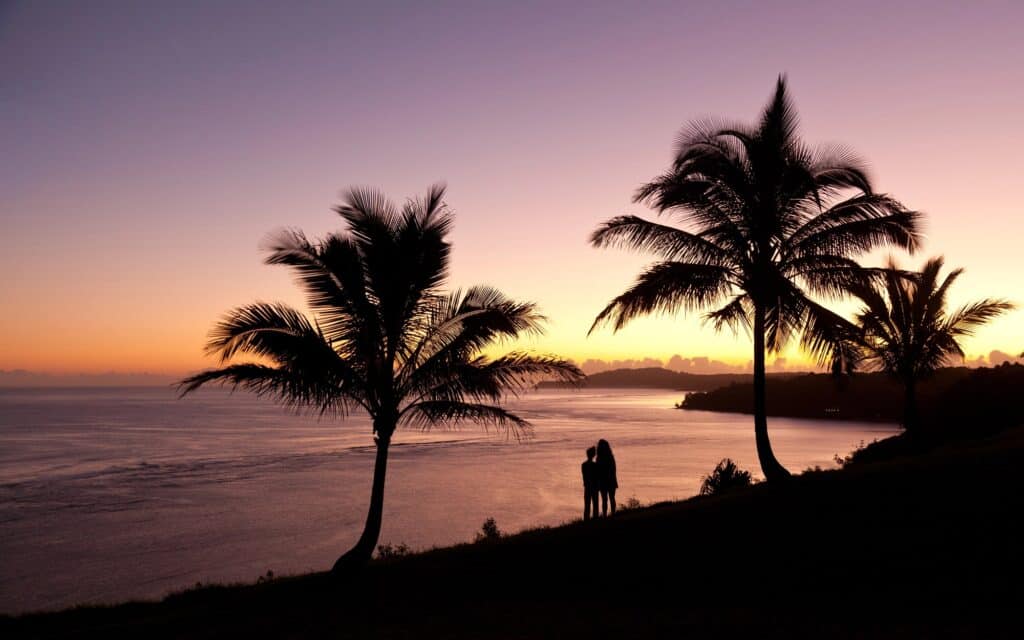 A couple overlooking a golden sunset in Kauaki with two palm trees